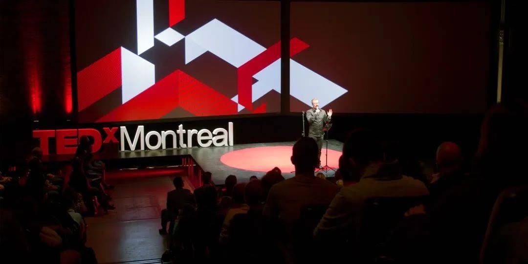 丰满TEDx Montral 品牌VI设计
